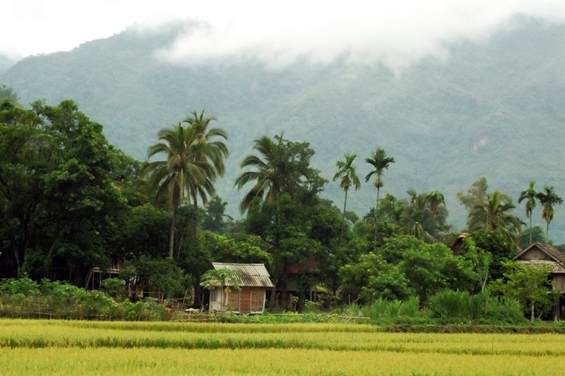 Dag 15: Hanoi - Mai Chau Aan het eind van de volgende ochtend kom je uiteindelijk aan in Hanoi. Hier staat de bus op je te wachten om je in drie à vier uur (200 km) naar Mai Chau te brengen.