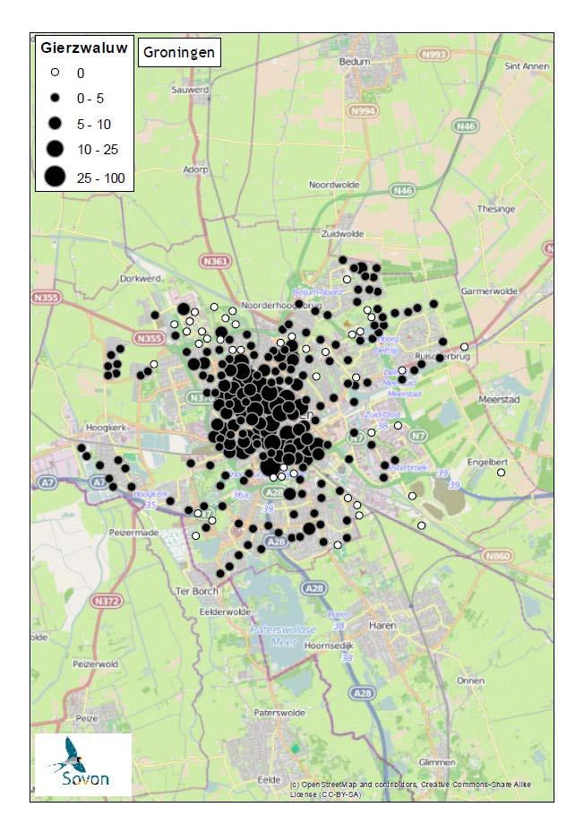 & Groningen in MUS.