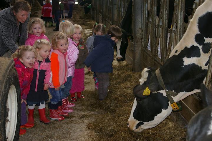 Wij zorgen voor uitdagend speelgoed. Dit betekent dat wij daarom op de babygroep ander speelgoed hebben dan op de peutergroep.