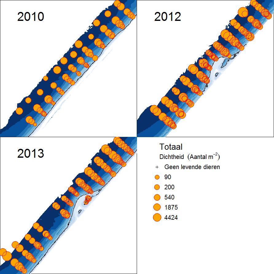Figuur 46: Ruimtelijke verdeling van de dichtheden bodemdieren (aantal m -2 ) in de Van Veen monsters over de jaren 2010, 2012 en 2013.