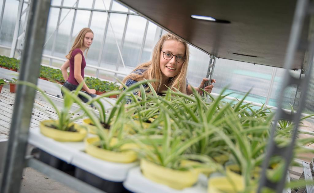 Welk niveau is het? Medewerker Agrohandel & logistiek is een opleiding op mbo niveau 2, deze opleiding duurt afhankelijk van je inzet 1 tot 2 jaar.