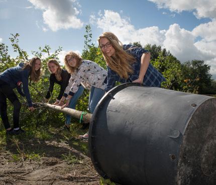 Voel jij je hierdoor aangesproken dan is de opleiding tot hovenier zeker iets voor jou. Wat doe je in de les?