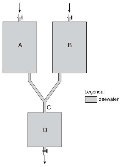 Voor het onderzoek werd de volgende proefopstelling gebruikt: De aquaria A en B zijn via een Y- vormige ondoorzichtige buis verbonden met bak D.