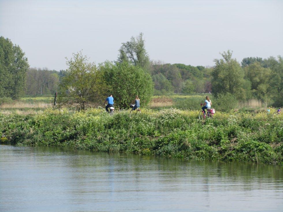 Palingen hebben immers de eigenschap giftige stoffen in hun lichaamsvet op te slaan en, hoewel de kwaliteit van de Zeeschelde de laatste jaren verbeterd is, eet je beter nog geen paling uit de