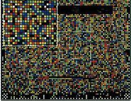 nefrotisch syndroom Biomarkers