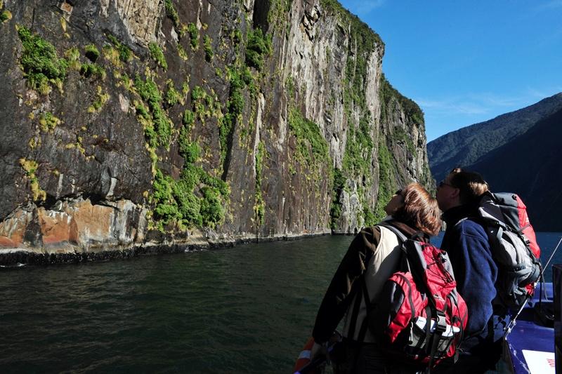 Het nationaal park kent een landschap bestaande uit smalle valleien, steile rotsen, fjorden en weelderig regenwoud, op de grond bedekt met mossen en varens.