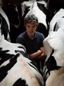 UIT DE KRANT In Frankrijk is de film Petit Paysan als een daverende debuutfilm ontvangen. Deze drama-film gaat over een boer die smoorverliefd is op zijn koeien.