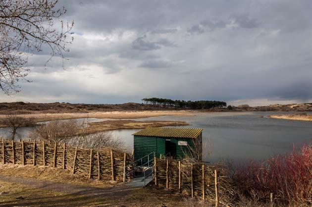 Onderzoek in 2013 kijkhut bij vogelmeer Ruud Maaskant (PWN) Bij de struweelvogels werd de grootste veranderingen verwacht i.v.m. de vraat van de grazers aan kardinaalsmuts.