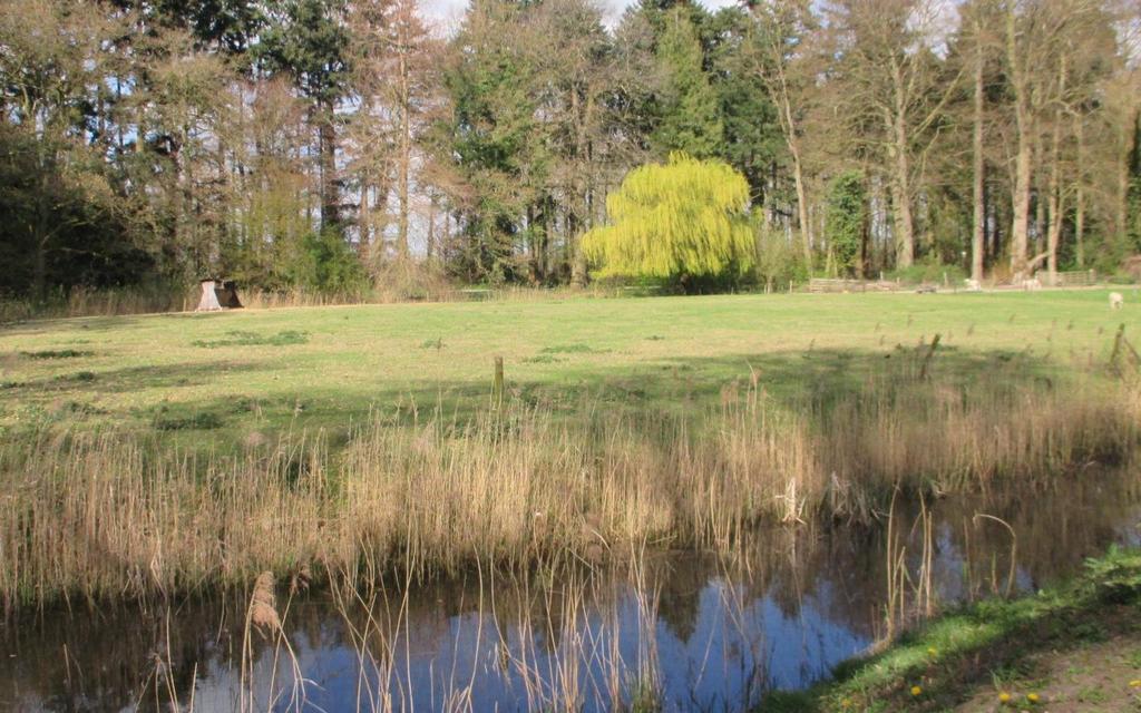 ZANDHOVE ROUTE 2,0 km Landschapspark in Engelse stijl; afwisselende open velden, waterpartijen, oud en nieuw bos. Verrassend veel verschillende bomen, vogels en planten. Fotocamera mee!