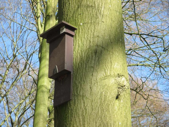 Daarom heeft de specht ernaast een extra gat gehakt om bij de eieren of jongen te kunnen komen. Bij deze locatie hoort een audiofragment. Luister dit af via de website of de mobiele app.