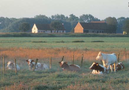 Natuurbeheer De gronden worden aangekocht om ze in te richten als natuurgebied.