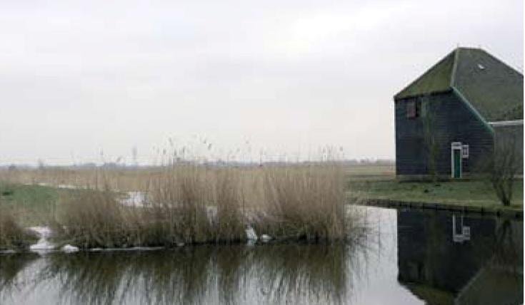 6.2 Stedenbouwkundige randvoorwaarden Om er voor te zorgen dat het gewenste eindbeeld bij de uitwerking ontstaat zijn de volgende stedenbouwkundige randvoorwaarden opgesteld: PROGRAMMA Uitgangspunt