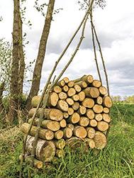 een kans om de biodiversiteit van uw omgeving te vergroten. een kans om het landschap te verfraaien en haar identiteit te versterken. en een kans om optimaal te genieten.