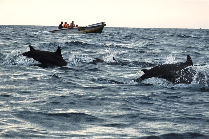 Dag 17: Trincomalee / Excursies snorkelen of walvis spotten Vrije dag. Trincomalee heeft eindeloze, ongerepte zandstranden.