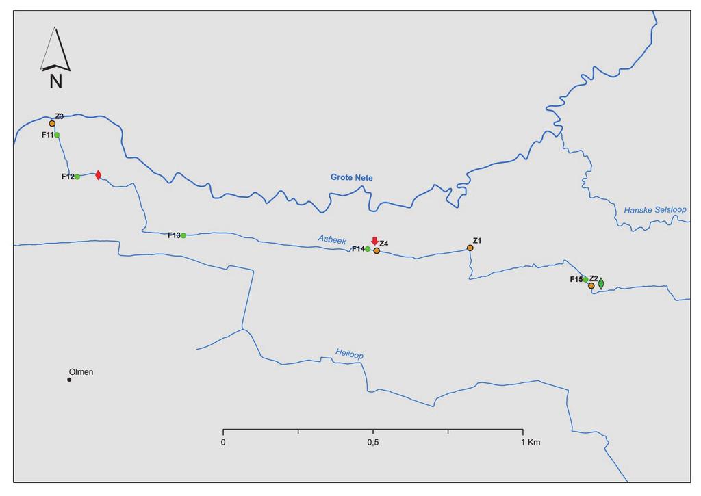 Figuur 36: Locaties op de Asbeek van het in 2010 gevangen juveniel (rode ruit) en de in 2014 gevangen kwabaallarven (groene ruit) en het kwabaaljuveniel (rode pijl).