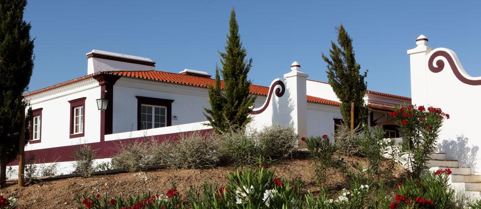 Regio : Alentejo Alentejo is een zuid-centraal gebied in Portugal. In totaal telt de streek 14.000 ha wijngaarden.