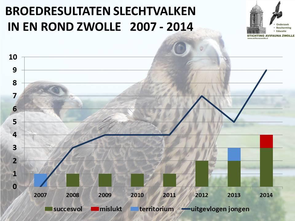 SLECHTVALK Zwolle sluit zich aan bij de landelijke trend van een forse toename van het aantal broedparen. In 2013 waren het de valken bij de Centrale Harculo en bij Hendrix die succesvol waren.