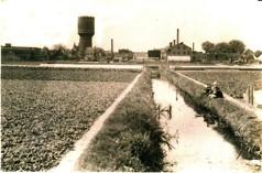 Jutphaas was, en vanaf de Oranjebrug tot aan de Waterlinieweg: dat was allemaal akkerland en boomgaard. Het land werd halverwege de jaren 50 door de gem.