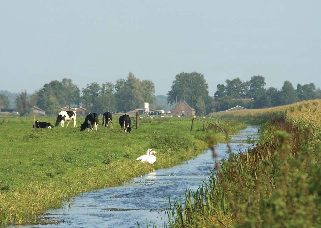 Landelijk Meetnet effecten Mestbeleid; resultaten van monitoring op de natte gronden in