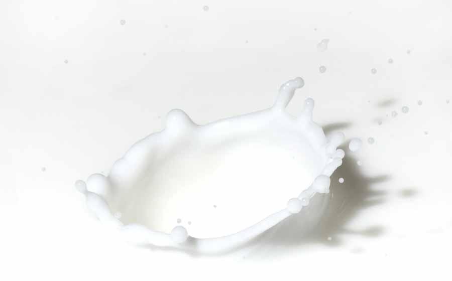 ALGEMENE CONCLUSIES Consumptie rauwe melk = reëel microbiologisch gevaar Hittebehandeling (pasteurisatie/uht) = historisch & wetenschappelijk bewezen efficiënte methode om