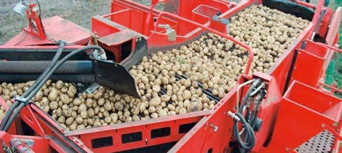 Een mechanische hellingshoekverstelling maakt de afstelling op het product en Optimale productvriendelijkheid: Loofband met zachte PU-meenemers