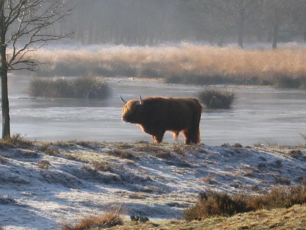 Oude meer bij