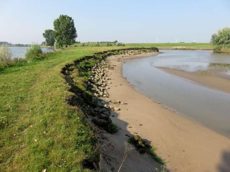 De Horde: afkalving oeverwal Locatie 4 Achthovense Waard (ZHL/PZH) De Achthovense Waard ligt in de NNN en voor een deel ook in Natura 2000. Er is een korte stop gemaakt bij Bolswaard.