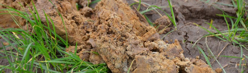 Bodem: de basis van alles LNE Betere waterhuishouding van percelen door het uitspelen van de waterbufferende rol van de bodem Vasthouden in natte perioden Vrijgave bij droogte Maximaliseren van de