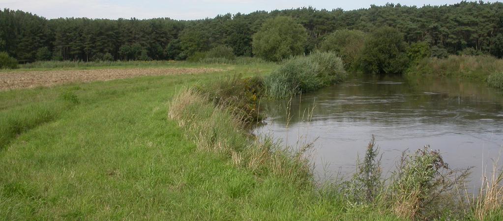 Bufferstroken: mooi en nuttig Betere waterkwaliteit van waterlopen (bescherming tegen uitspoeling van nutriënten, bestrijdingsmiddelen,