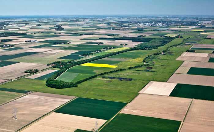 Werelderfgoed sinds 1995 Eiland vanwege armoe en overstromingsgevaar Schokland en omgeving Eiland op het droge ontruimd in 1859 sinds 1942 deel van Noordoostpolder vier km lang, 500 m breed Schokland