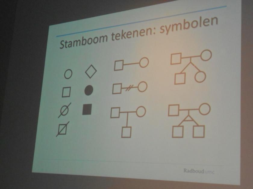 stamboom