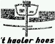 Dorpshuis t Haolerhoes is bij uitstek geschikt voor: - feesten en partijen, - vergaderen (beamer en laptop aanwezig), - bijeenkomsten.