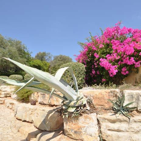 bedienbaar is. De prachtige tuin is aangelegd met bougainville, agaves, olijfbomen en fruitbomen.