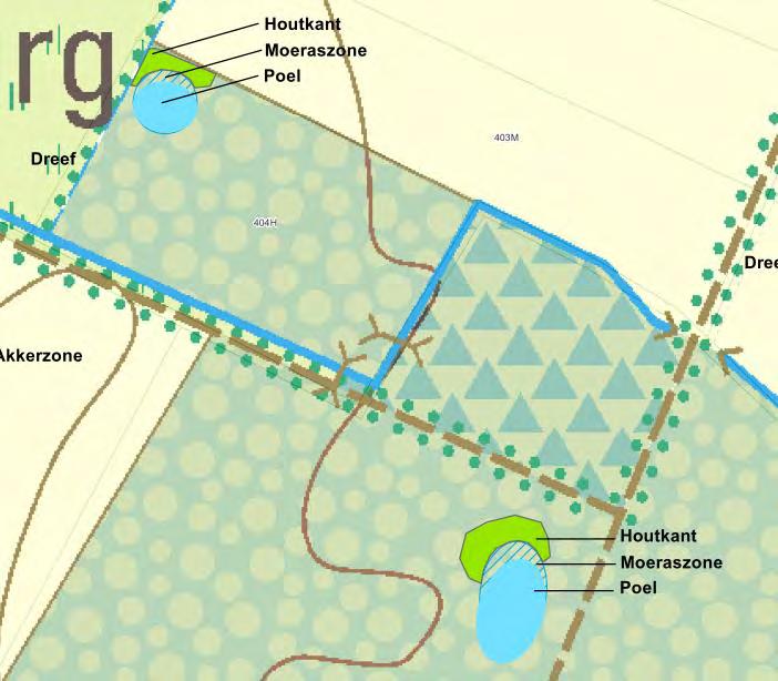 Beheermaatregelen Figuur 5-1: Inrichtingsmaatregelen poelen te Wildenburg in 710a en 712b (bron: Reg. Landschap) 5.