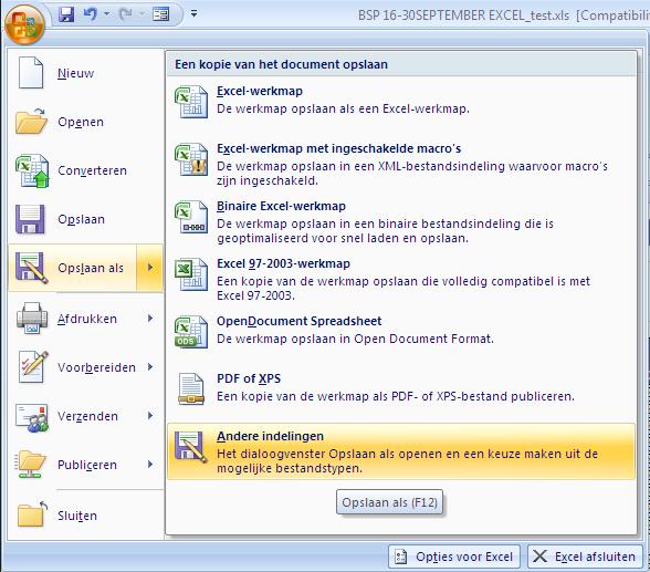 genomen uit office 2007, andere versies hebben mogelijk een andere lay-out) Bij opslaan als (Save as) neem je