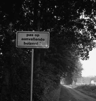 zelden langer dan drie weken, samenvallend met de tijd dat er halfwas jongen op het nest staan.