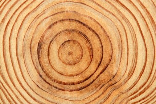 Hout Samenstelling: Alle hout is samengesteld uit cellulose.