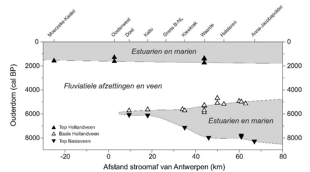 9 Figuur 6. De Holocene evolutie van de mariene invloed in de Beneden-Schelde in België en Zuidwest-Nederland.