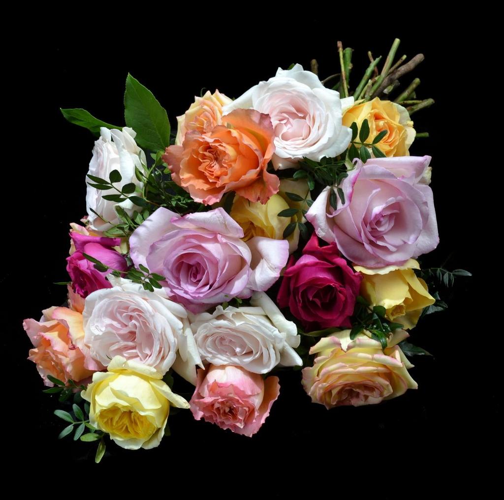 Rouwboeket Rozen 50014 In dit rouwboeket zitten diverse soorten geurende rozen en Ecuador rozen die