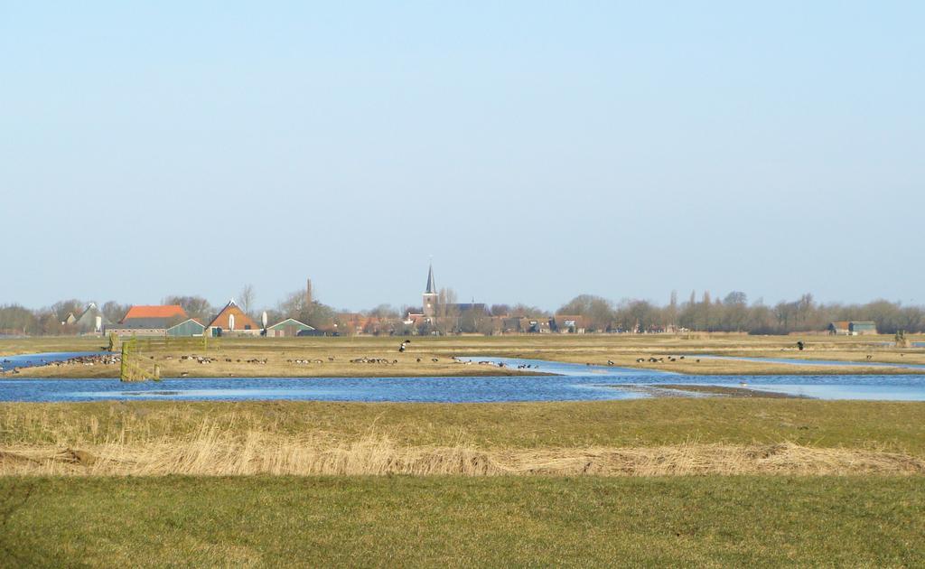 Aantallen broedparen in de Friese weidevogelgebieden Skrok Skrins Lionserpolder Filenspolder Hegewiersterfjild Totaal 2017 Totaal 2016 Totaal ha.