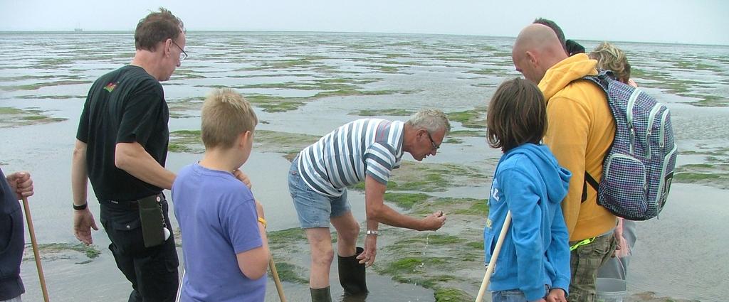 EDUCATIEF Samen Texel ontdekken kan bij Groepsuitjes Texel!