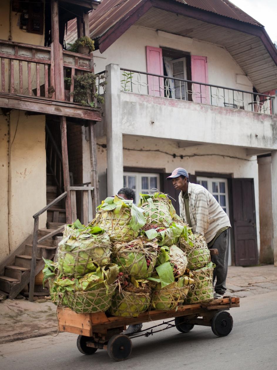 Typisch Madagascar.