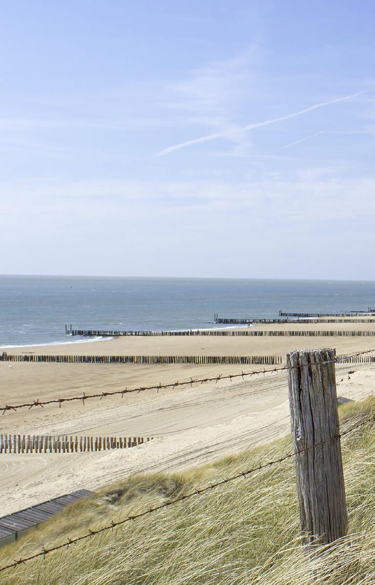 Het dagelijks beheer van het strand en zeereep wordt uitgevoerd door de waterschappen en op enkele locaties op de Waddeneilanden door Rijkswaterstaat zelf.