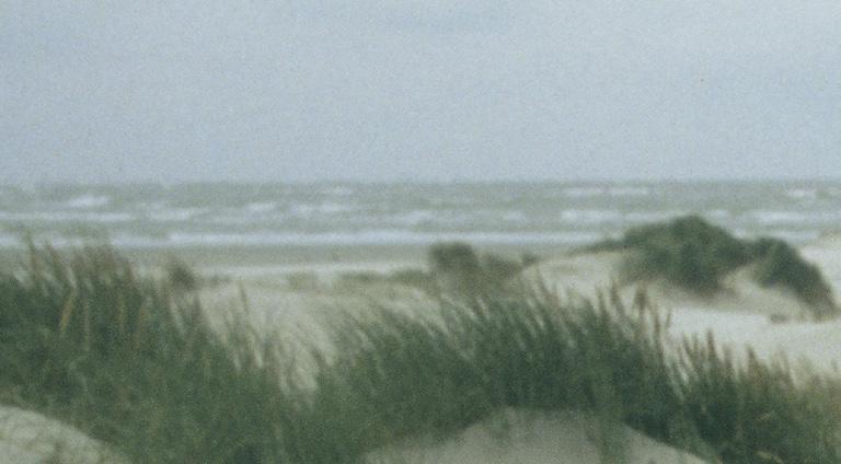 Ecologisch onderzoek aan de zeereep Langs vrijwel de hele Nederlandse kust zijn er duingebieden. De kustduinen zijn ontstaan door de eeuwenlange invloed van zee, wind, begroeiing en de mens.