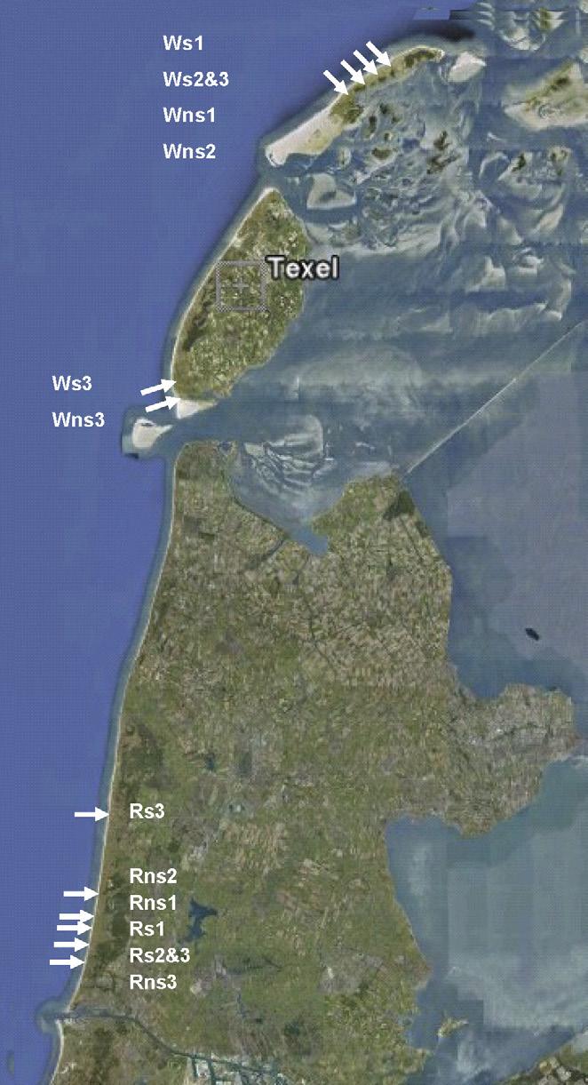 Op de Hollandse kust gaat het vooral om gebieden met kalkrijk zand en in het Waddengebied vooral om gebieden met kalkarm zand.