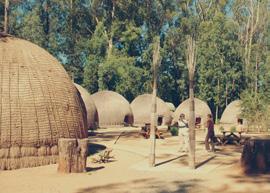 namelijk een 'Rhino walk maken en het park te voet verkennen onder leiding van een Swazi park ranger.