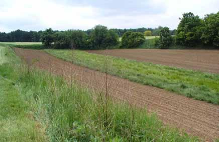 Bescherming en herstel van taluds Principe Een talud (synoniemen: graft, steilrand) is een landschapselement dat zorgt voor een abrupt niveauverschil in het landschap.