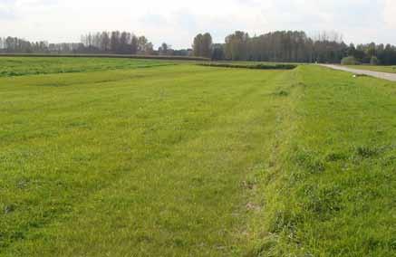 Onderhoud en beheer Een goed onderhoud van bufferbekkens vergt: ËËRegelmatig ruimen van het opgevangen sediment, zoniet verliest het bufferbekken zijn bufferende functie; ËËMaaien bij verruiging.