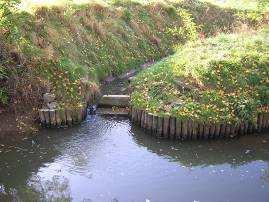 Bij verstopping van inlaten wordt er opgestuwd en wordt er minder water langs de visdoorgang geleid. Dit heeft een verminderde attractiviteit en passeerbaarheid van de visdoorgang zelf tot gevolg.