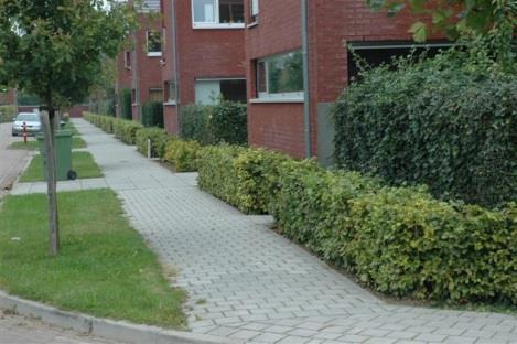 8. Tuin en tuinonderhoud De voortuinen worden ingericht met een beukenhaagje als erfscheiding. Onderstaande foto geeft een impressie van hoe het ongeveer kan worden.